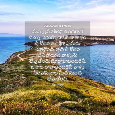 Picture 04 - యెషయా 14:9 TELIRV - నువ్వు - Bible Verse Picture