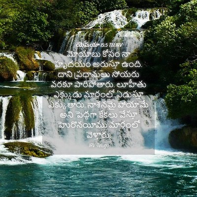 Picture 04 - యెషయా 15:5 TELIRV - మోయాబు కోసం నా - Bible Verse Picture