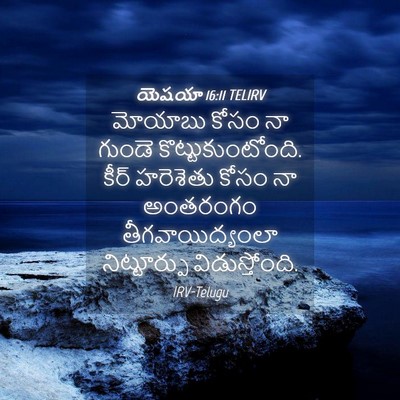 Picture 04 - యెషయా 16:11 TELIRV - మోయాబు కోసం నా - Bible Verse Picture