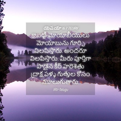 Picture 04 - యెషయా 16:7 TELIRV - కాబట్టి - Bible Verse Picture