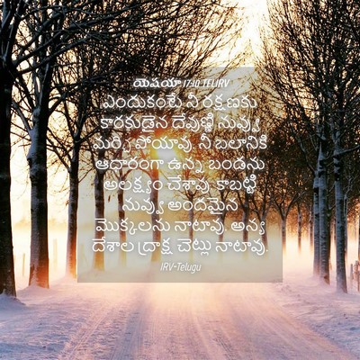 Picture 04 - యెషయా 17:10 TELIRV - ఎందుకంటే నీ - Bible Verse Picture
