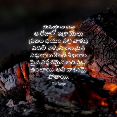 Picture 04 - యెషయా 17:9 TELIRV - ఆ రోజుల్లో - Bible Verse Picture