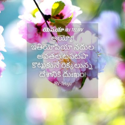 Picture 04 - యెషయా 18:1 TELIRV - అయ్యో! ఇతియోపియా - Bible Verse Picture