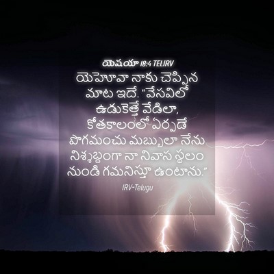 Picture 04 - యెషయా 18:4 TELIRV - యెహోవా నాకు - Bible Verse Picture