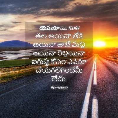 Picture 04 - యెషయా 19:15 TELIRV - తల అయినా తోక అయినా - Bible Verse Picture