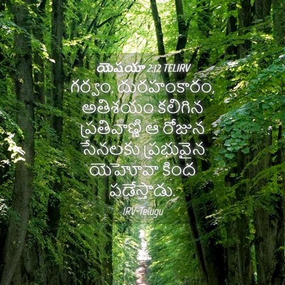 Picture 04 - యెషయా 2:12 TELIRV - గర్వం, దురహంకారం, - Bible Verse Picture