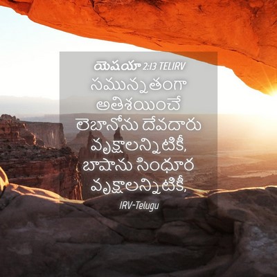 Picture 04 - యెషయా 2:13 TELIRV - సమున్నతంగా - Bible Verse Picture