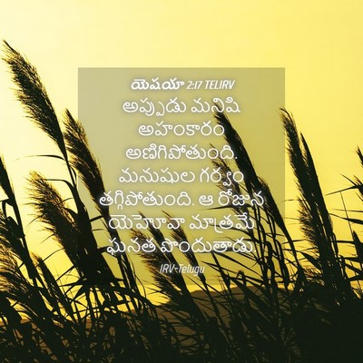 Picture 04 - యెషయా 2:17 TELIRV - అప్పుడు మనిషి - Bible Verse Picture