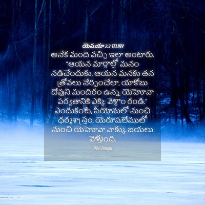 Picture 04 - యెషయా 2:3 TELIRV - అనేక మంది వచ్చి - Bible Verse Picture