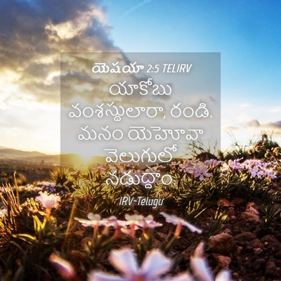 Picture 04 - యెషయా 2:5 TELIRV - యాకోబు - Bible Verse Picture