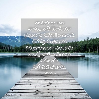 Picture 04 - యెషయా 20:5 TELIRV - వాళ్ళు ఇతియోపియా - Bible Verse Picture