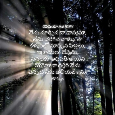 Picture 04 - యెషయా 21:10 TELIRV - నేను నూర్చిన నా - Bible Verse Picture