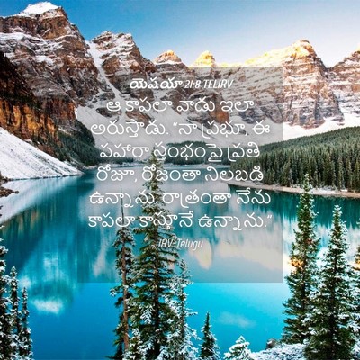 Picture 04 - యెషయా 21:8 TELIRV - ఆ కాపలా వాడు ఇలా - Bible Verse Picture