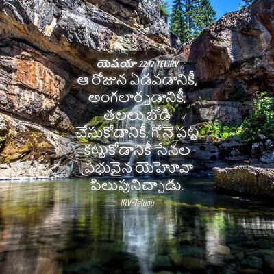 Picture 04 - యెషయా 22:12 TELIRV - ఆ రోజున ఏడవడానికీ, - Bible Verse Picture