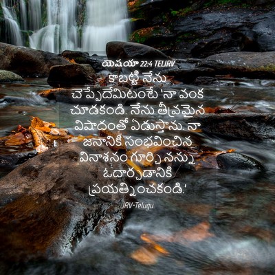 Picture 04 - యెషయా 22:4 TELIRV - కాబట్టి నేను - Bible Verse Picture