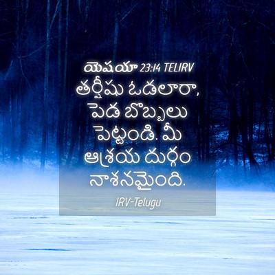 Picture 04 - యెషయా 23:14 TELIRV - తర్షీషు ఓడలారా, - Bible Verse Picture