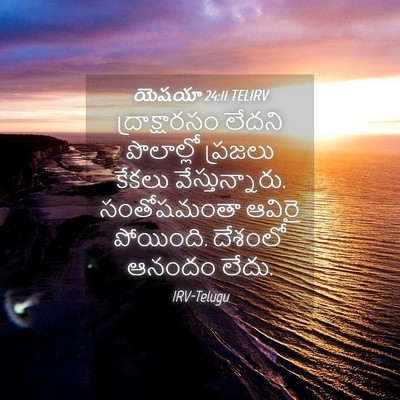 Picture 04 - యెషయా 24:11 TELIRV - ద్రాక్షారసం లేదని - Bible Verse Picture