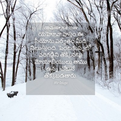 Picture 04 - యెషయా 25:10 TELIRV - యెహోవా హస్తం ఈ - Bible Verse Picture