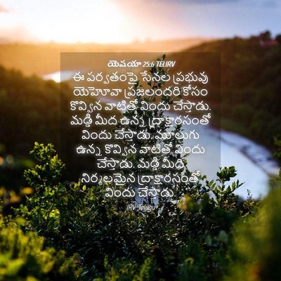 Picture 04 - యెషయా 25:6 TELIRV - ఈ పర్వతంపై సేనల - Bible Verse Picture