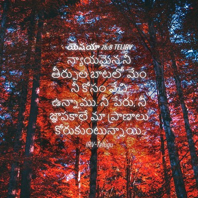 Picture 04 - యెషయా 26:8 TELIRV - న్యాయమైన నీ - Bible Verse Picture