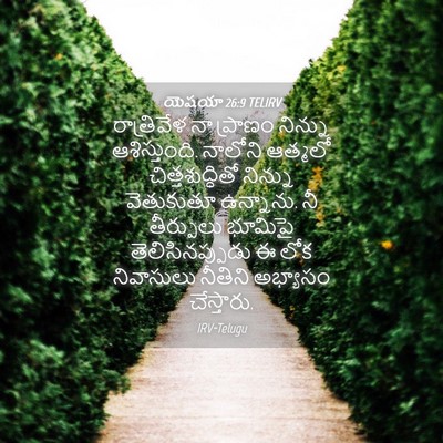 Picture 04 - యెషయా 26:9 TELIRV - రాత్రివేళ నా - Bible Verse Picture