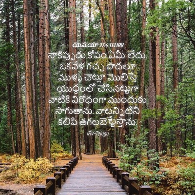 Picture 04 - యెషయా 27:4 TELIRV - నాకిప్పుడు కోపం - Bible Verse Picture
