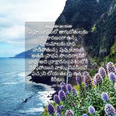 Picture 04 - యెషయా 28:1 TELIRV - ఎఫ్రాయీములో - Bible Verse Picture