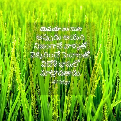 Picture 04 - యెషయా 28:11 TELIRV - అప్పుడు ఆయన - Bible Verse Picture