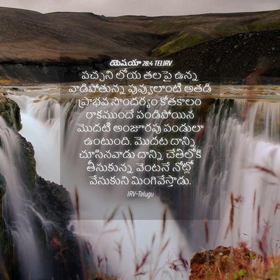 Picture 04 - యెషయా 28:4 TELIRV - పచ్చని లోయ తలపై - Bible Verse Picture