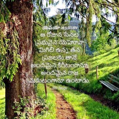 Picture 04 - యెషయా 28:5 TELIRV - ఆ రోజున సేనల - Bible Verse Picture