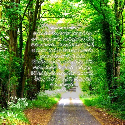 Picture 04 - యెషయా 28:7 TELIRV - అయితే వీళ్ళు కూడా - Bible Verse Picture