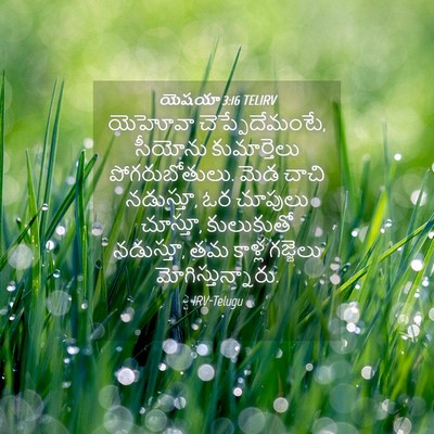 Picture 04 - యెషయా 3:16 TELIRV - యెహోవా - Bible Verse Picture