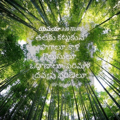 Picture 04 - యెషయా 3:20 TELIRV - తలకు కట్టుకునే - Bible Verse Picture