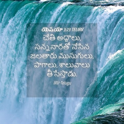 Picture 04 - యెషయా 3:23 TELIRV - చేతి అద్దాలు, - Bible Verse Picture