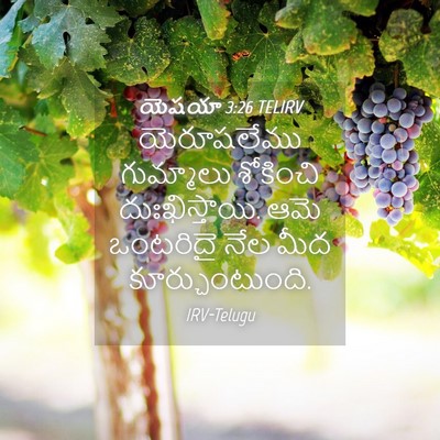 Picture 04 - యెషయా 3:26 TELIRV - యెరూషలేము - Bible Verse Picture