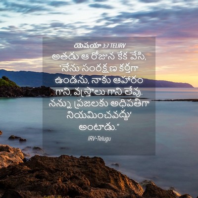 Picture 04 - యెషయా 3:7 TELIRV - అతడు ఆ రోజున కేక - Bible Verse Picture