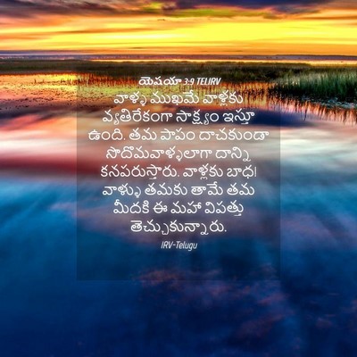 Picture 04 - యెషయా 3:9 TELIRV - వాళ్ళ ముఖమే - Bible Verse Picture