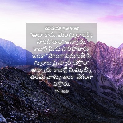 Picture 04 - యెషయా 30:16 TELIRV - “అలా కాదు. మేం - Bible Verse Picture