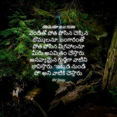 Picture 04 - యెషయా 30:22 TELIRV - వెండితో పోత పోసిన - Bible Verse Picture