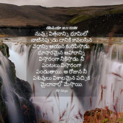 Picture 04 - యెషయా 30:23 TELIRV - నువ్వు - Bible Verse Picture