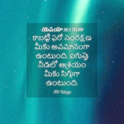 Picture 04 - యెషయా 30:3 TELIRV - కాబట్టి ఫరో - Bible Verse Picture