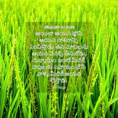 Picture 04 - యెషయా 31:2 TELIRV - అయినా ఆయన జ్ఞాని. - Bible Verse Picture