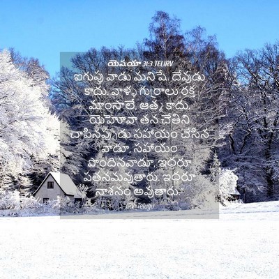 Picture 04 - యెషయా 31:3 TELIRV - ఐగుప్తు వాడు - Bible Verse Picture