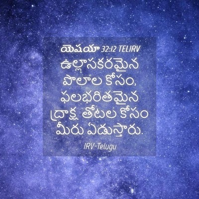 Picture 04 - యెషయా 32:12 TELIRV - ఉల్లాసకరమైన పొలాల - Bible Verse Picture