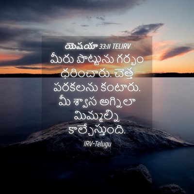 Picture 04 - యెషయా 33:11 TELIRV - మీరు పొట్టును - Bible Verse Picture