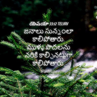 Picture 04 - యెషయా 33:12 TELIRV - జనాలు సున్నంలా - Bible Verse Picture