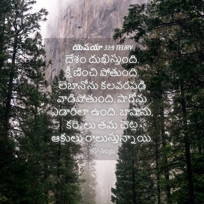 Picture 04 - యెషయా 33:9 TELIRV - దేశం దుఖిస్తుంది. - Bible Verse Picture