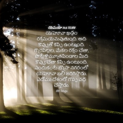 Picture 04 - యెషయా 34:6 TELIRV - యెహోవా ఖడ్గం - Bible Verse Picture