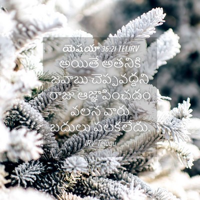 Picture 04 - యెషయా 36:21 TELIRV - అయితే అతనికి - Bible Verse Picture