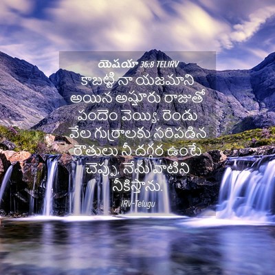 Picture 04 - యెషయా 36:8 TELIRV - కాబట్టి నా యజమాని - Bible Verse Picture